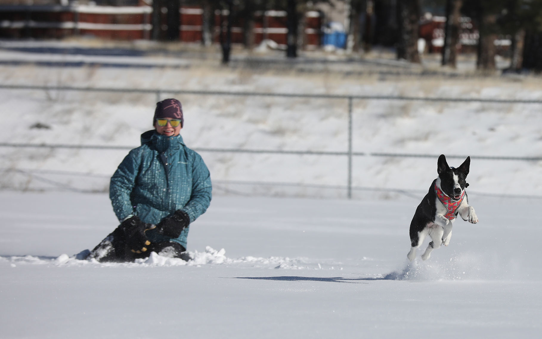 Snow Racer